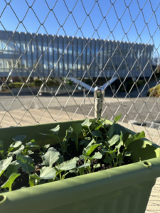 ～第二章　芽吹き～