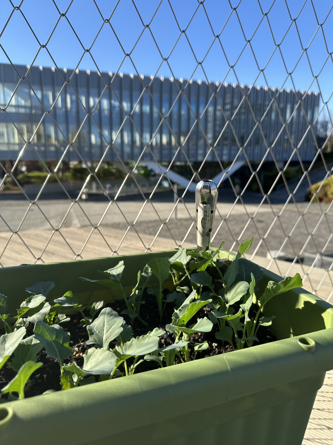 ～第二章　芽吹き～